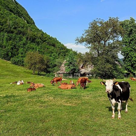 Charming Blacksmith'S House @ Lake Bohinj Exterior photo