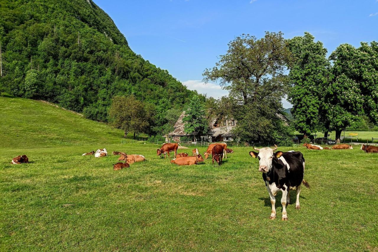 Charming Blacksmith'S House @ Lake Bohinj Exterior photo